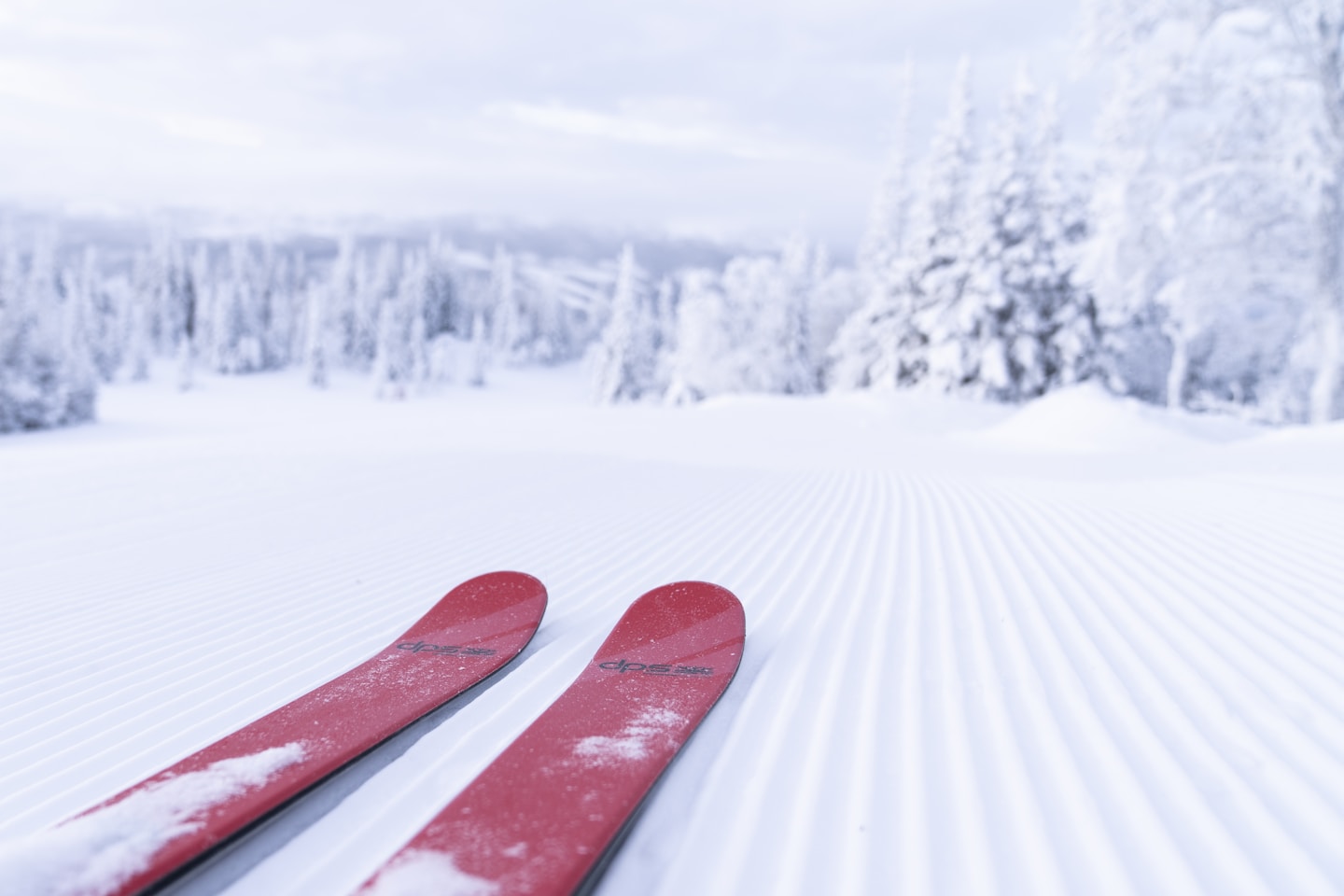 Red skis on a freshly groomed slope in Åre.
