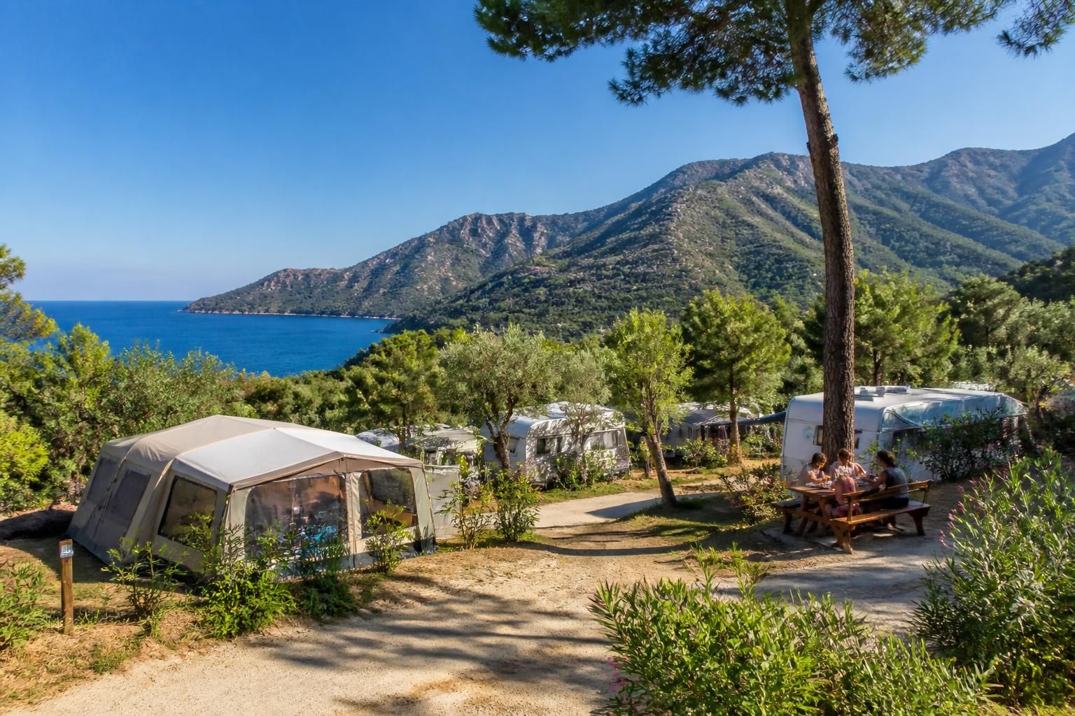 découvrez le camping le dauphin à argelès, un havre de nature entre mer et montagne, idéal pour des vacances paisibles en famille ou entre amis.